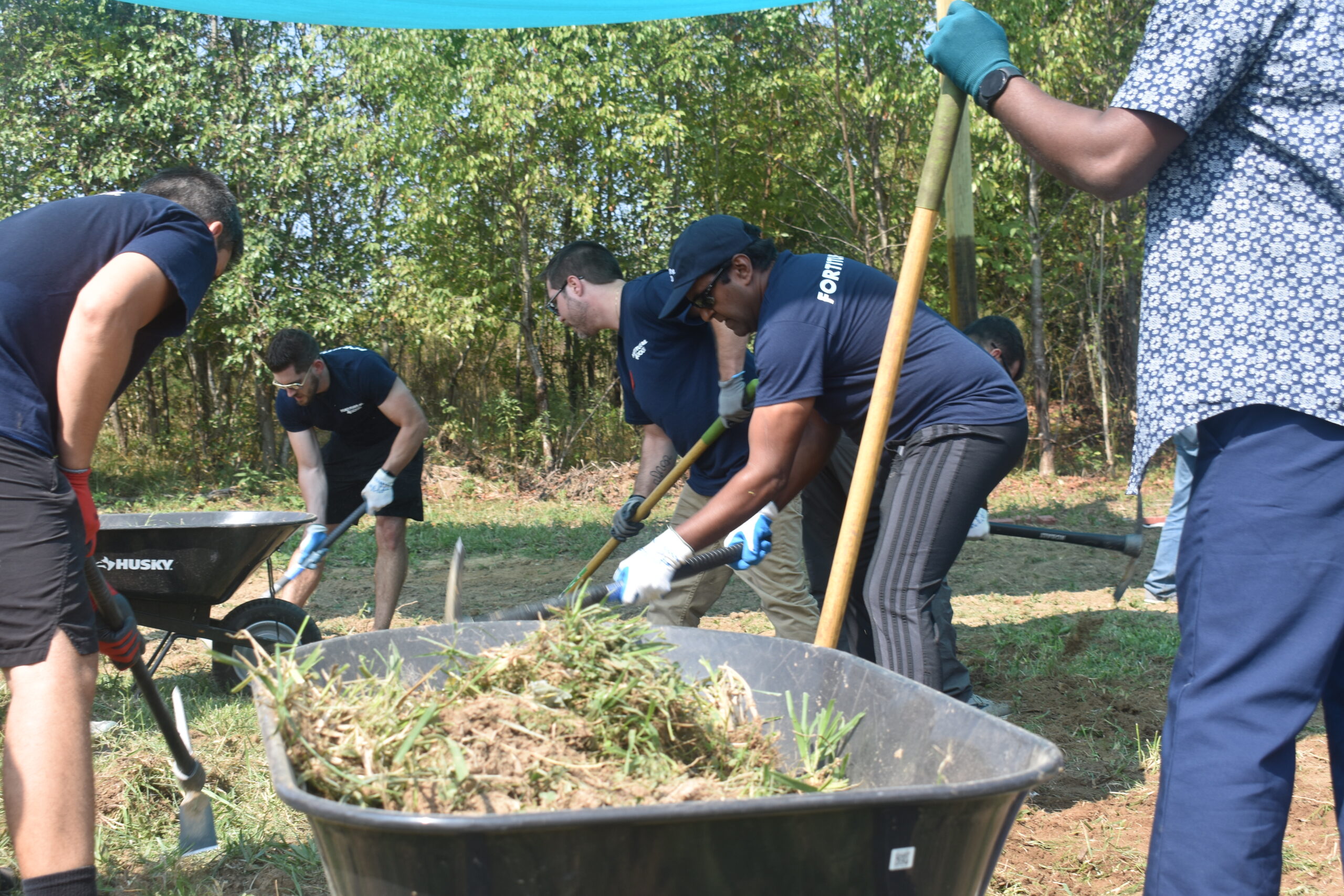 Colleagues working in a wooded area.