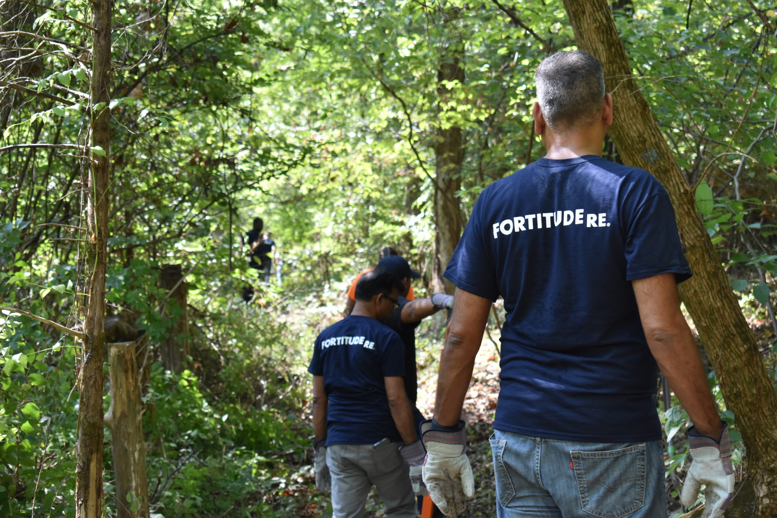 Employees cleaning brush in a wooded area.